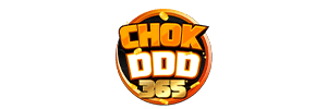 chokddd365